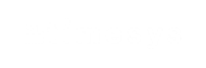 Timesys Logo