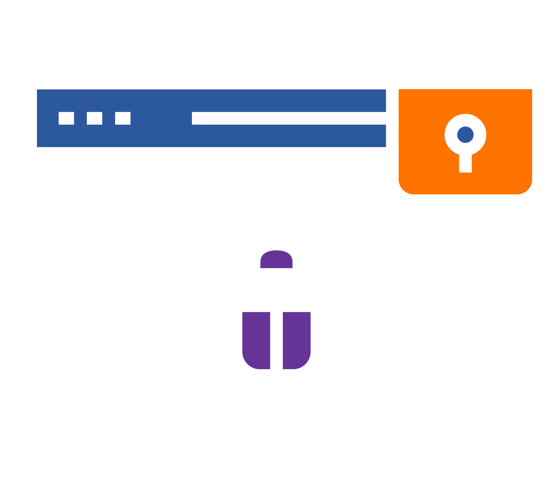 Vulnerability Detection