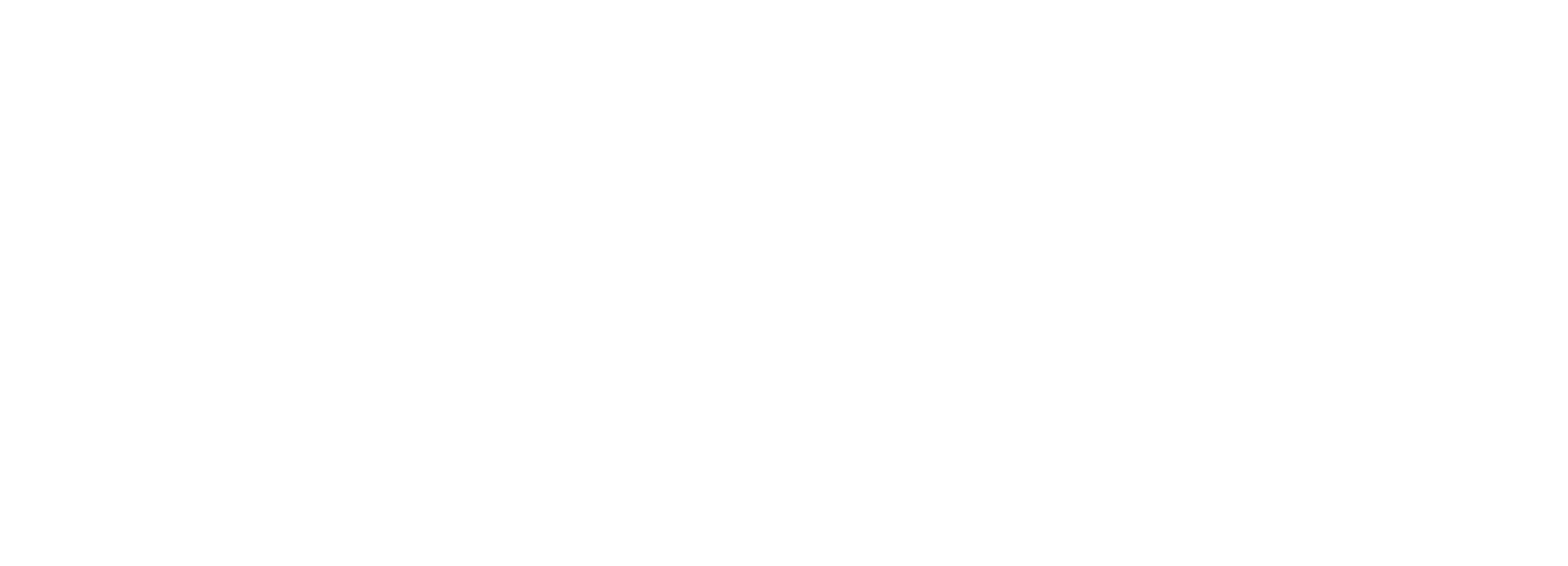 RunSafe Security
